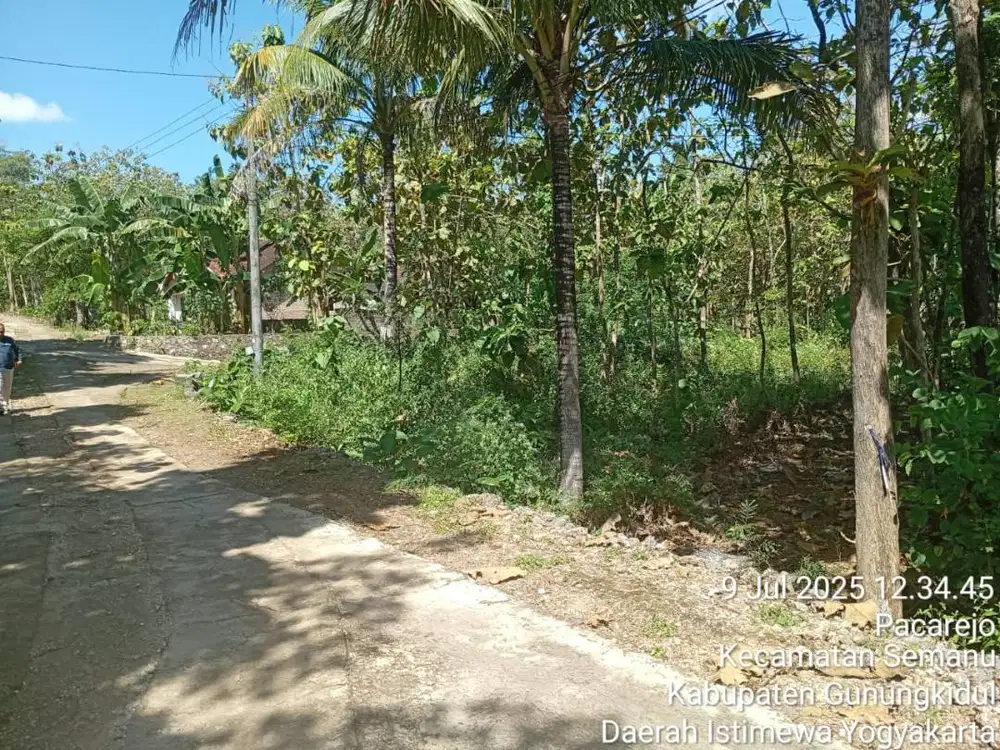 Kesempatan Emas untuk Investasi Tanah di Pacarejo!