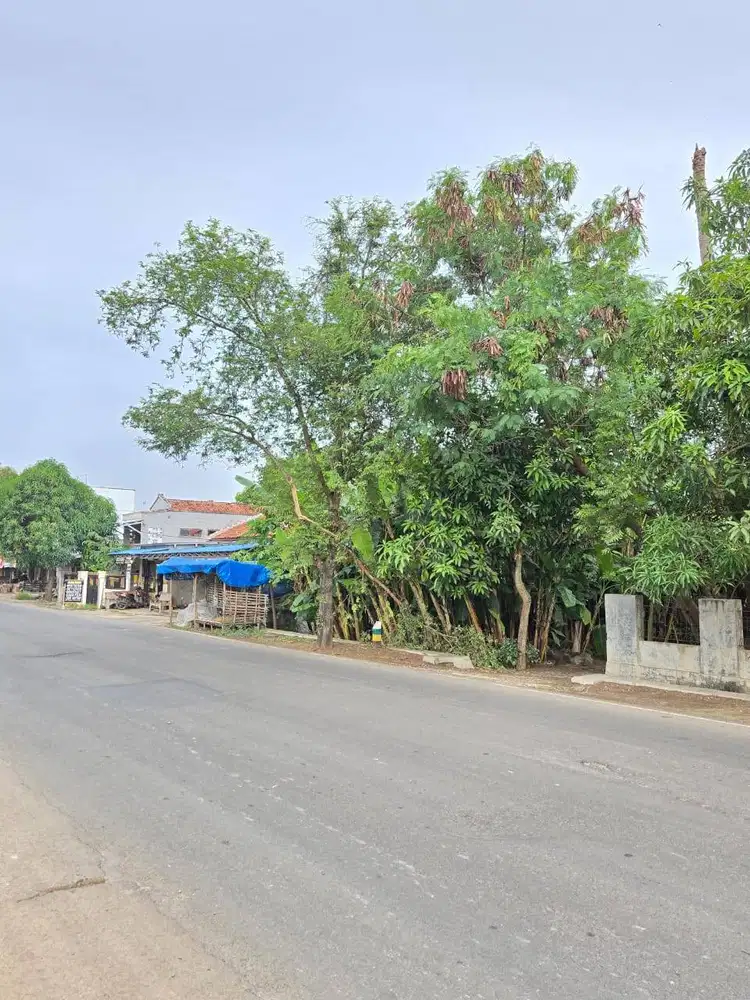 Di Jual Sebidang Tanah