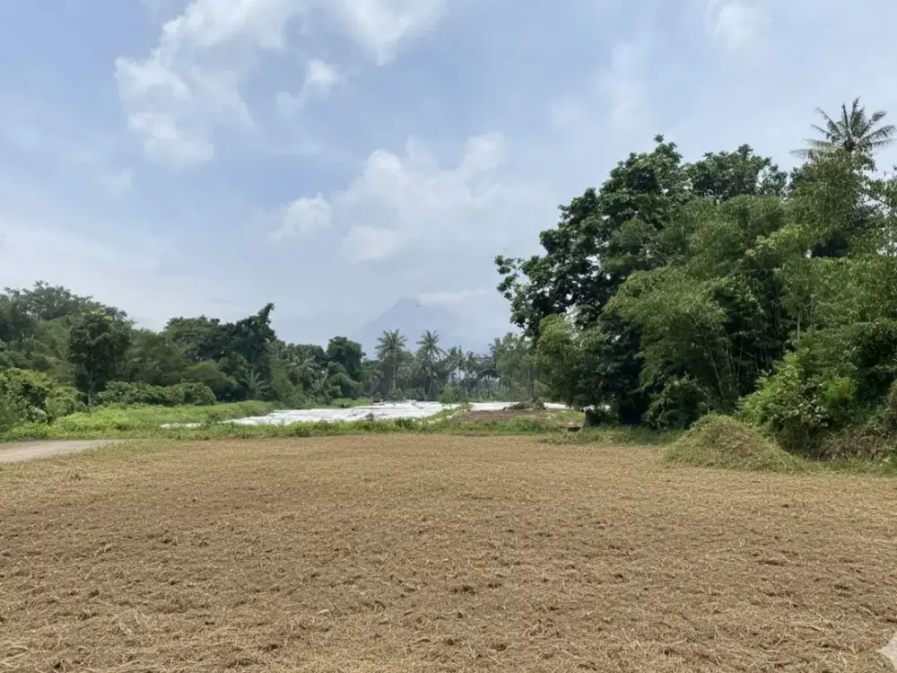 Tanah Barat Kopi Klotok, Cocok Untuk Villa