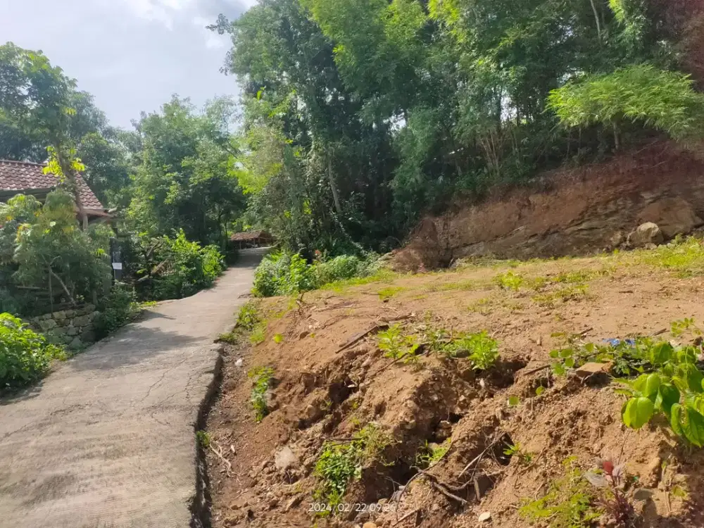 Tanah SHM Bantul Hanya 100 Jutaan Dekat Hutan Pinus