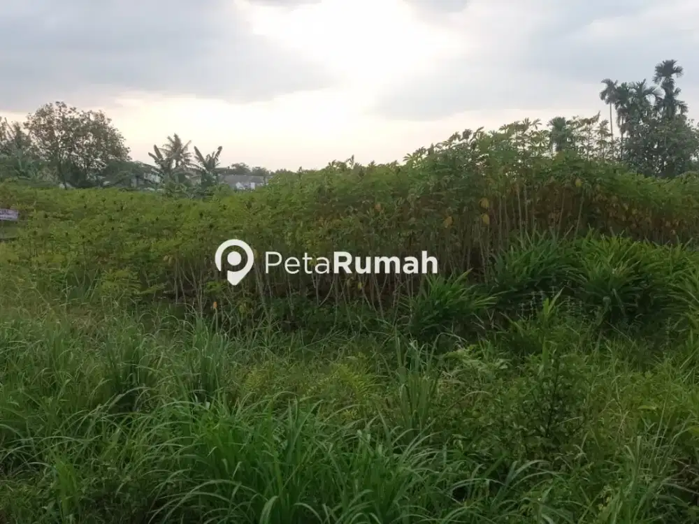 DIJUAL TANAH JALAN FLAMBOYAN RAYA GANG SETIA BUDI (KEVIN TJUATJA)