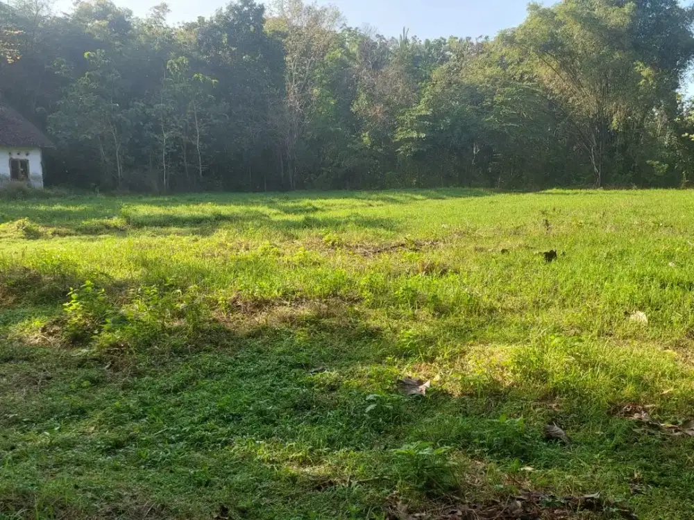 Tanah Strategis Dekat Kampus UMY di Bangunjiwo, Bantul