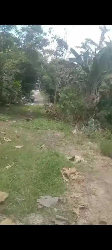 Jual tanah lokasi Plesungan luas 200mtr hrg 150jt nego