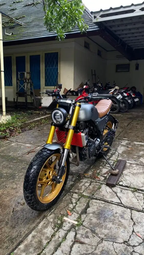 Custom scrambler basic ninja 250