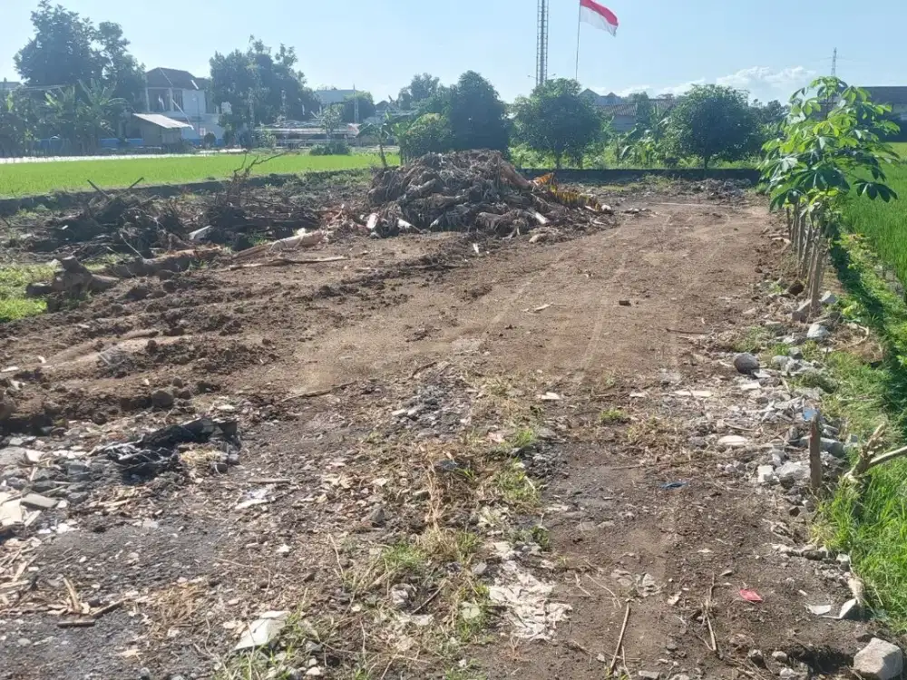 Tanah Strategis di Nogotirto Sleman, Dekat Universitas UTY