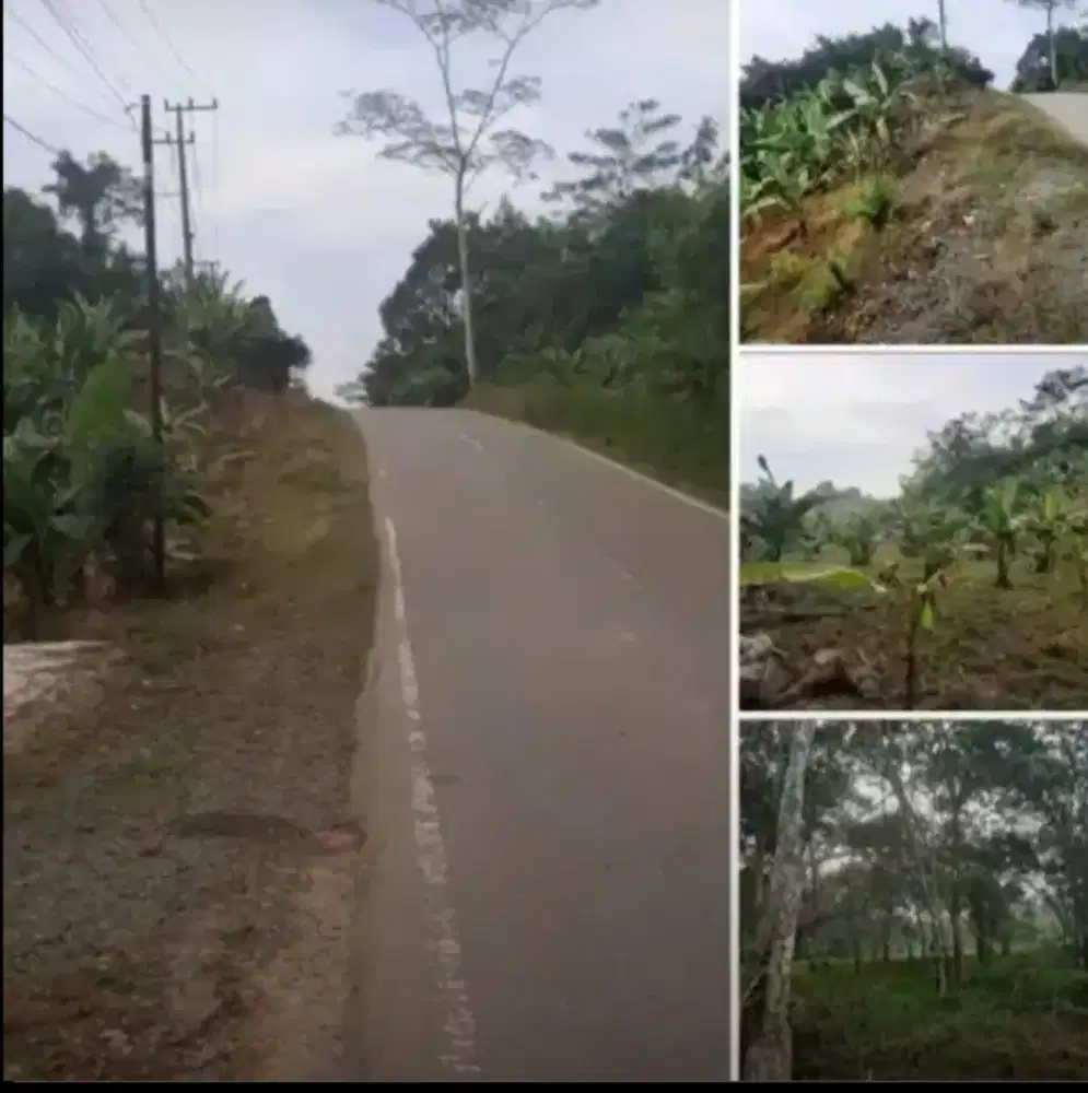 Kavling Ruko Pinggir Jalan Nasional