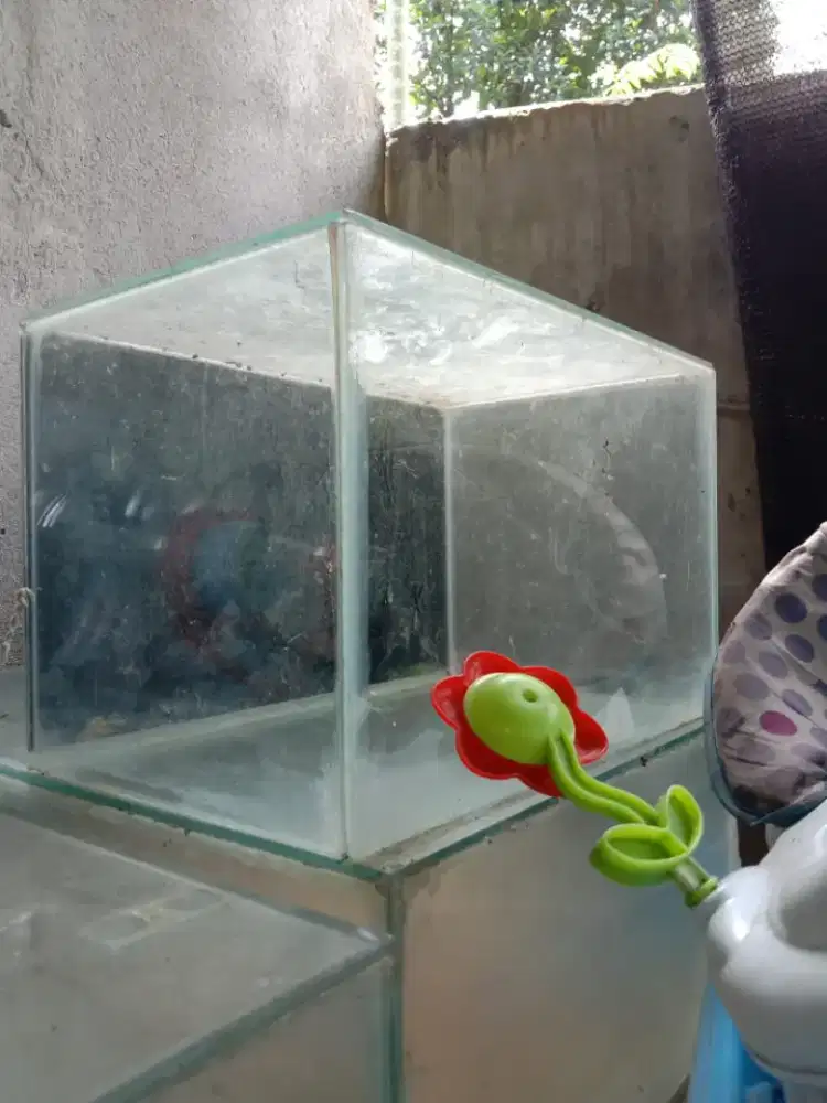 Akuarium p40xL25xt30