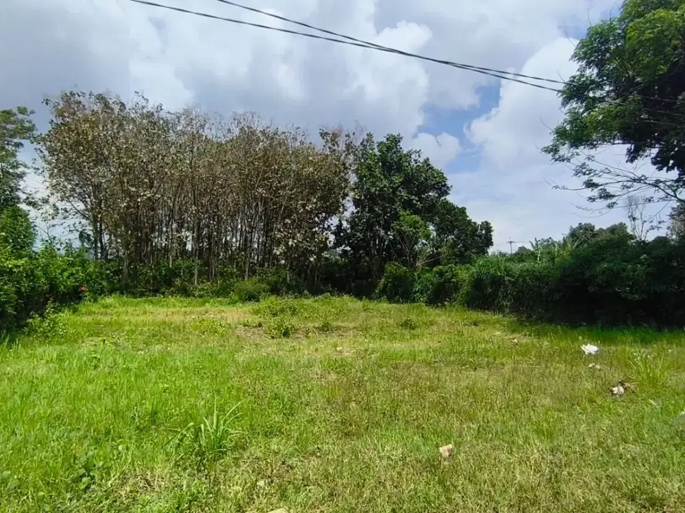 Tanah 200 Juta an Dekat Kampus UIN 3 Malang Potensi Kost Mahasiswa