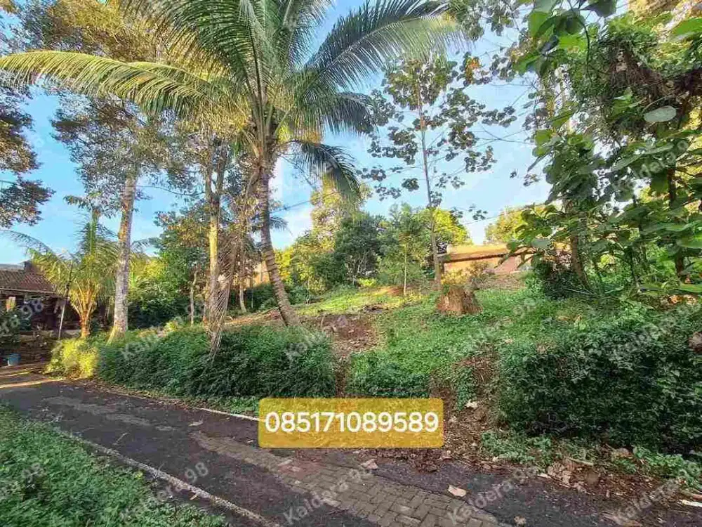 TANAH DIJUAL PINGGIR JALAN ASPAL, MANGUNSARI GUNUNGPATI SHM READY HANYA 150 jt Free All in