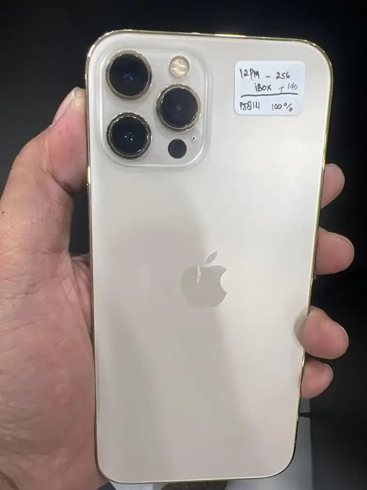 Iphone 12 pm 256 resmi