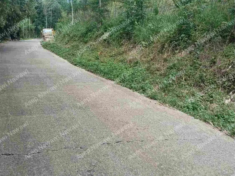 jual tanah murah sertipakat lt 5 hektar pinggir jln kabupaten