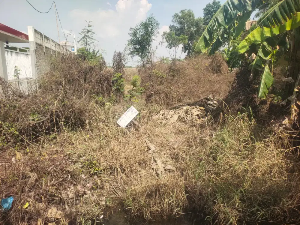 tanah luas 602 meter /43 bata cocok buat kos atau kontrakan