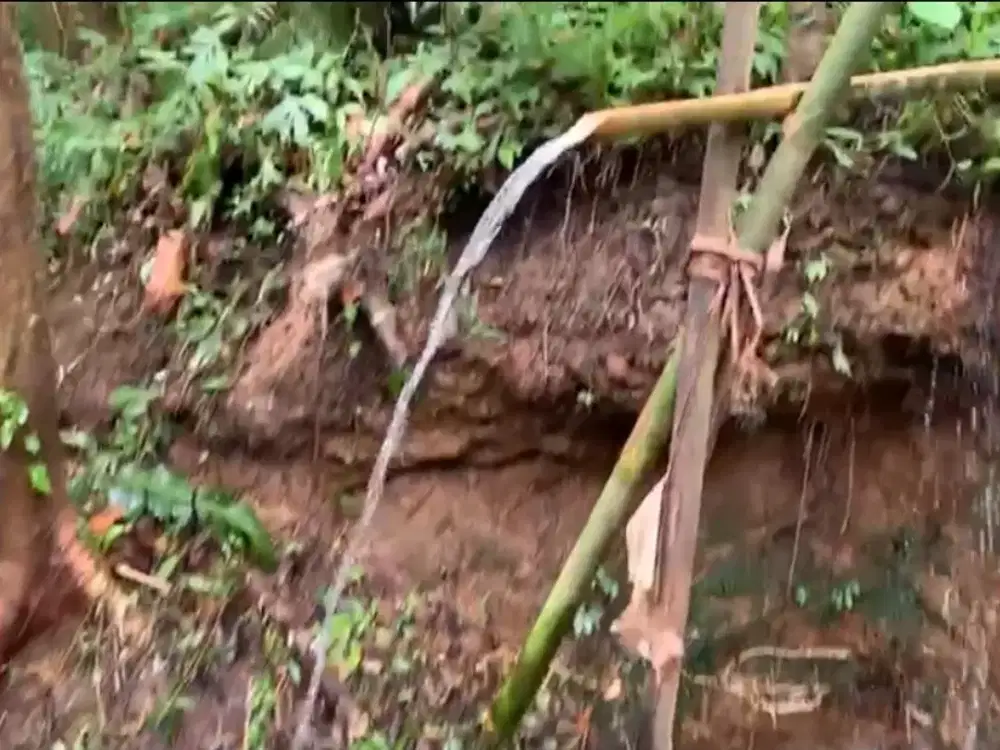 Kebun Kopi di Sanda Pupuan dekat Sava Eco Retreat Bali