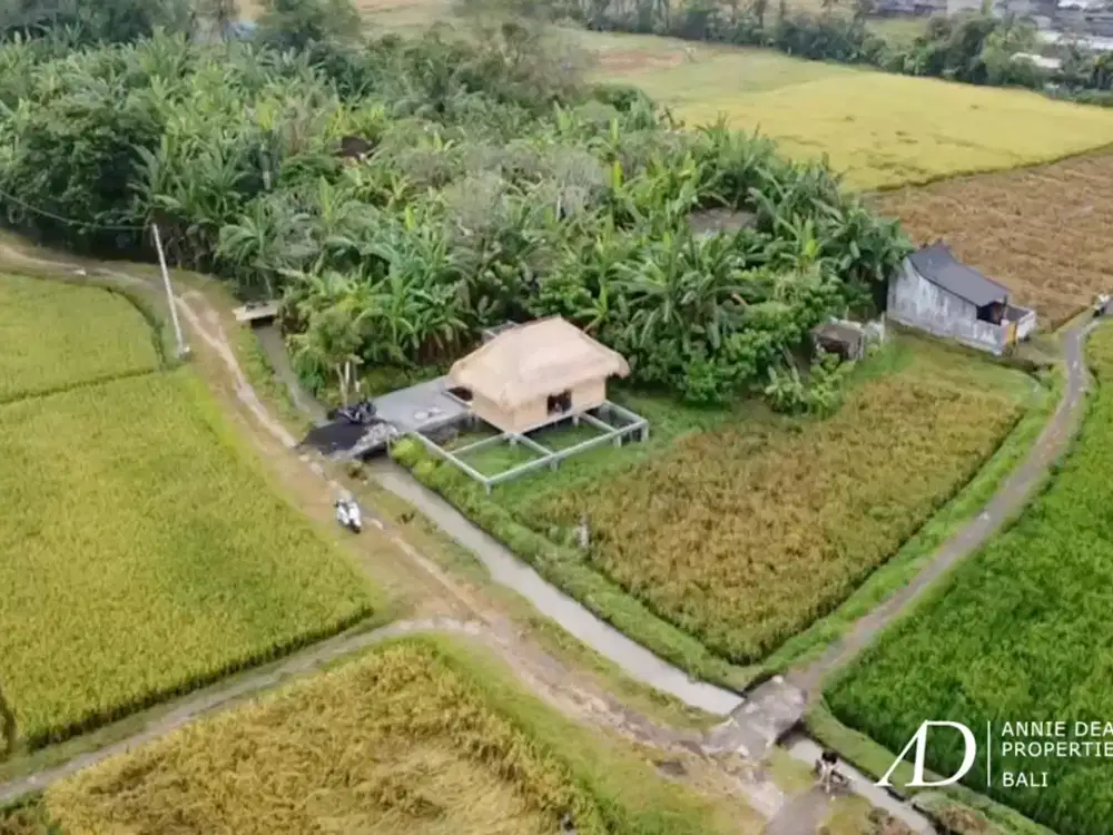 LEASEHOLD | 2 PLOTS OF LAND IN YEH GANGGA, TABANAN