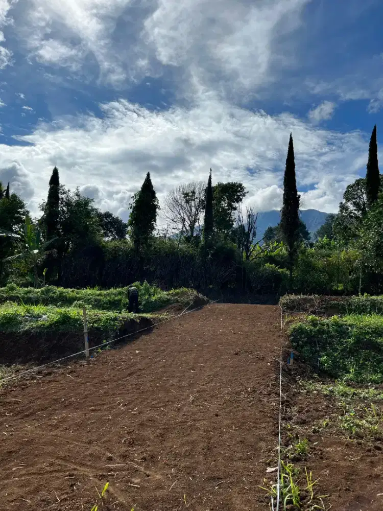 DIJUAL Kavling Villa Best View Gng Salak Exit Tol Cigombong Bocimi