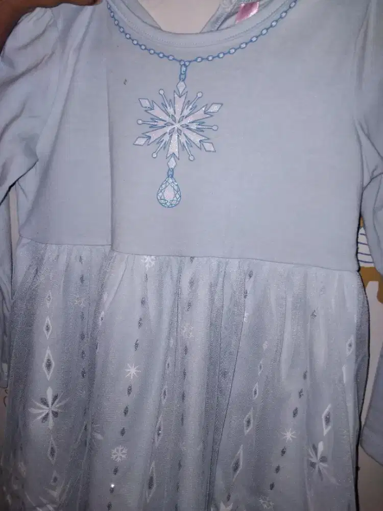 Dress elsa frozen