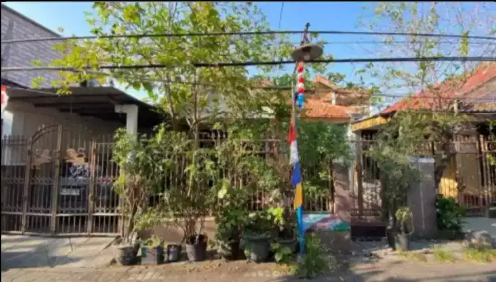 Obral murah luas kupang krajan petemon banyu urip demak kedungdoro