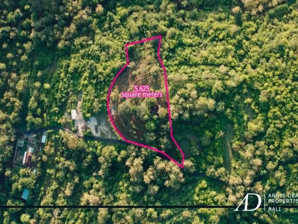 FREEHOLD | LAND INVESTMENT WITH A STUNNING OCEAN-VIEW IN NUSA PENIDA