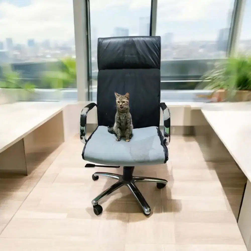 Kursi Bos bekas kondisi apa adanya