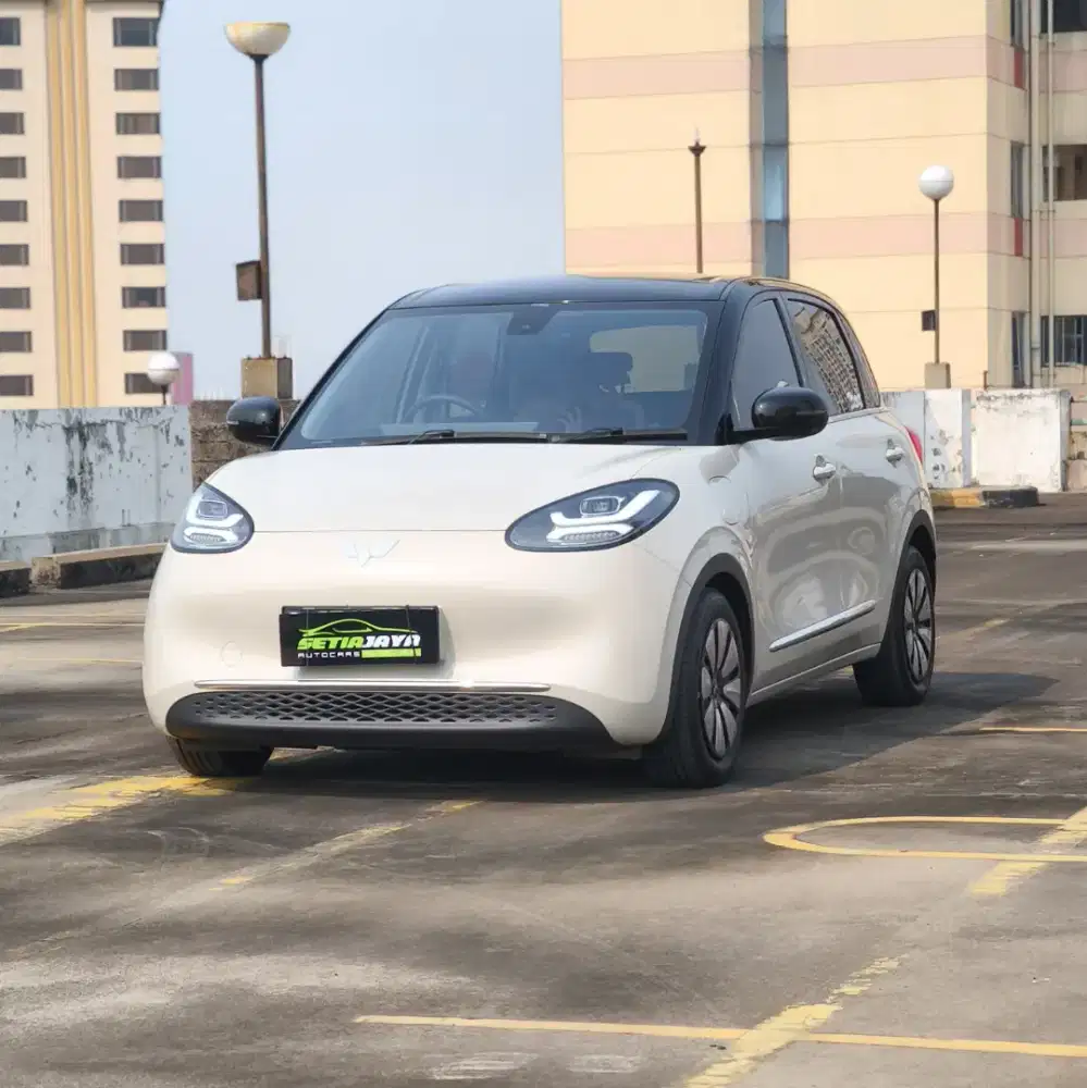 Wuling Binguo Ev 333 longe range 2024