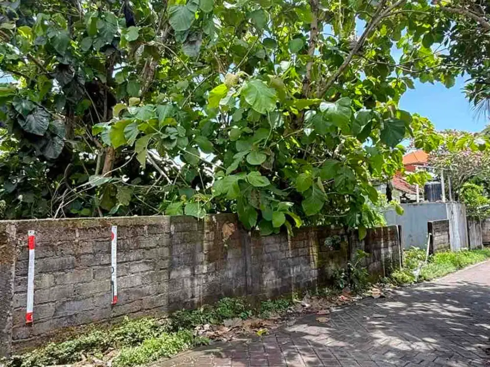 Dijual Tanah di Bukit Hijau Jimbaran Bali Dekat Kampus Unud dan PNB