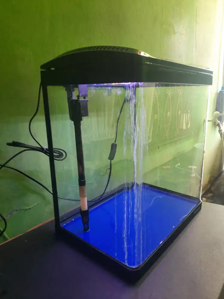 Aquarium Fishland 33 Liter Istimewa | Bonus Ikan