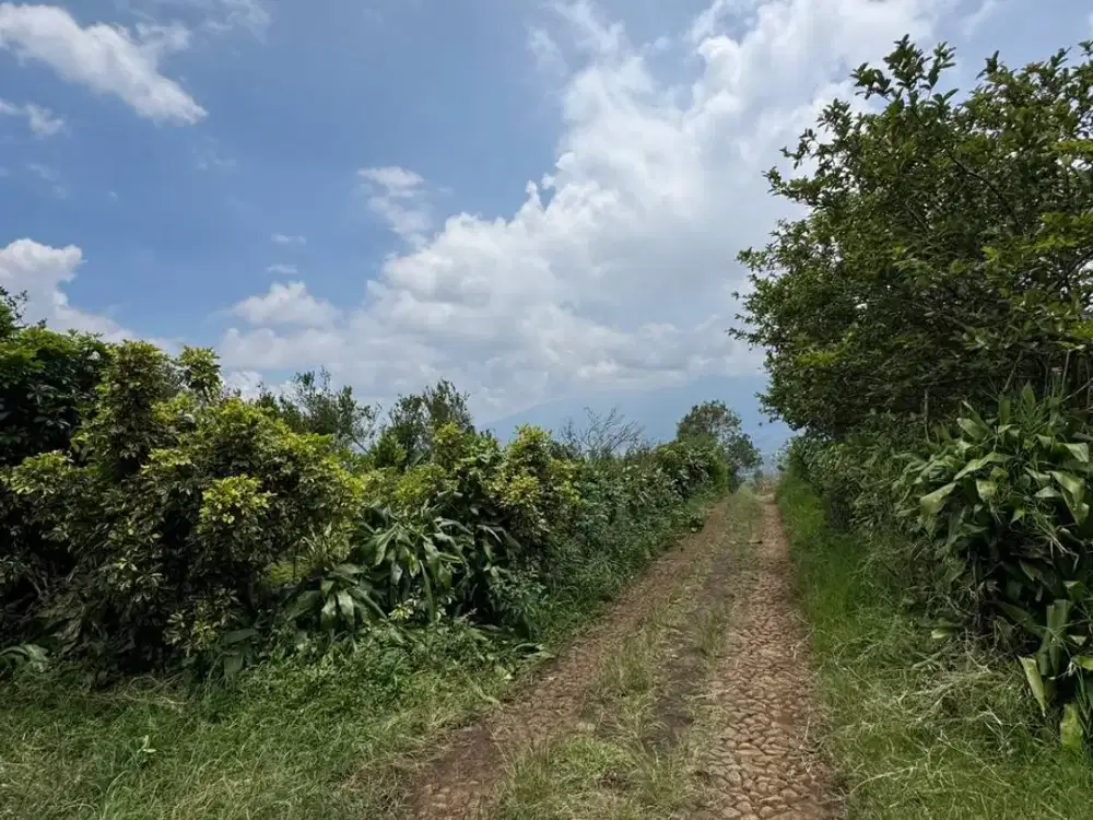 dijual tanah murah kota batu malang di bawah pasaran