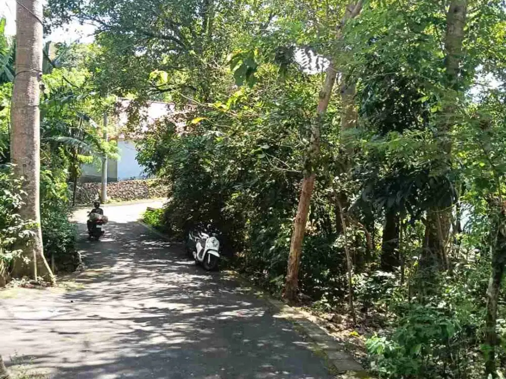 dijual tanah 26,77 are dekat Savaya villa Pecatu IDR 550 juta /are