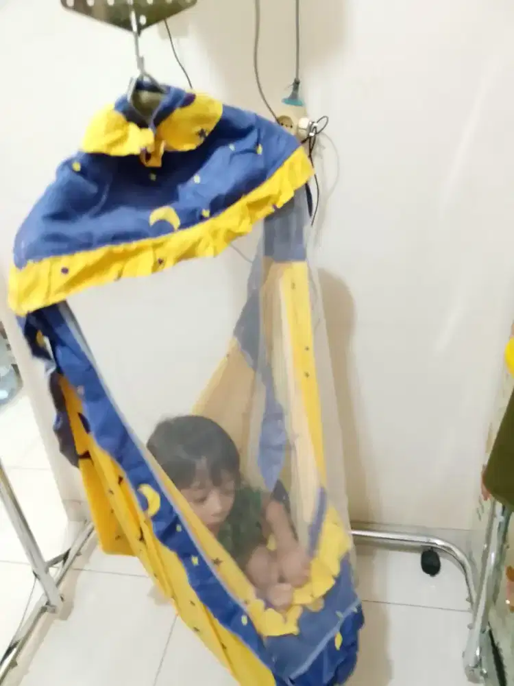 Ayunan elektrik polar