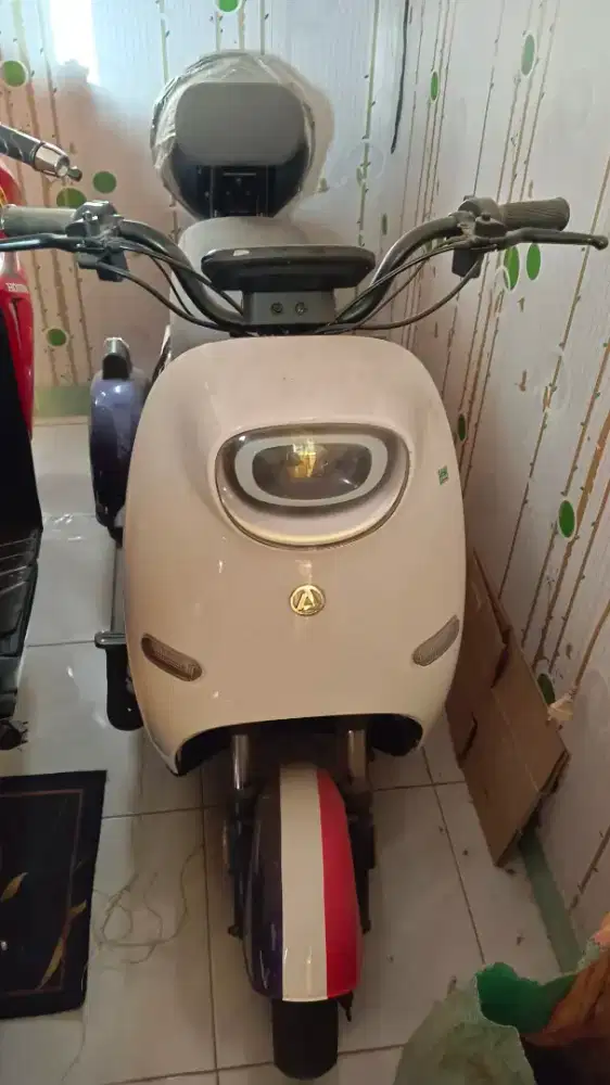 Sepeda Listrik Roda Tiga