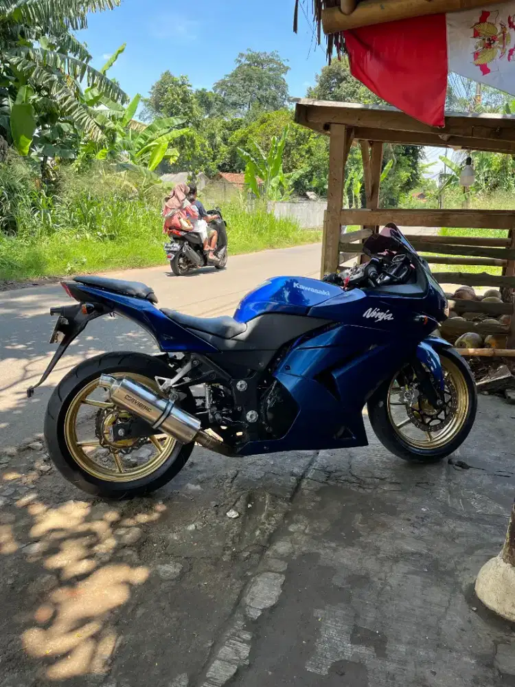 Ninja 250 cc 2 cylinder.