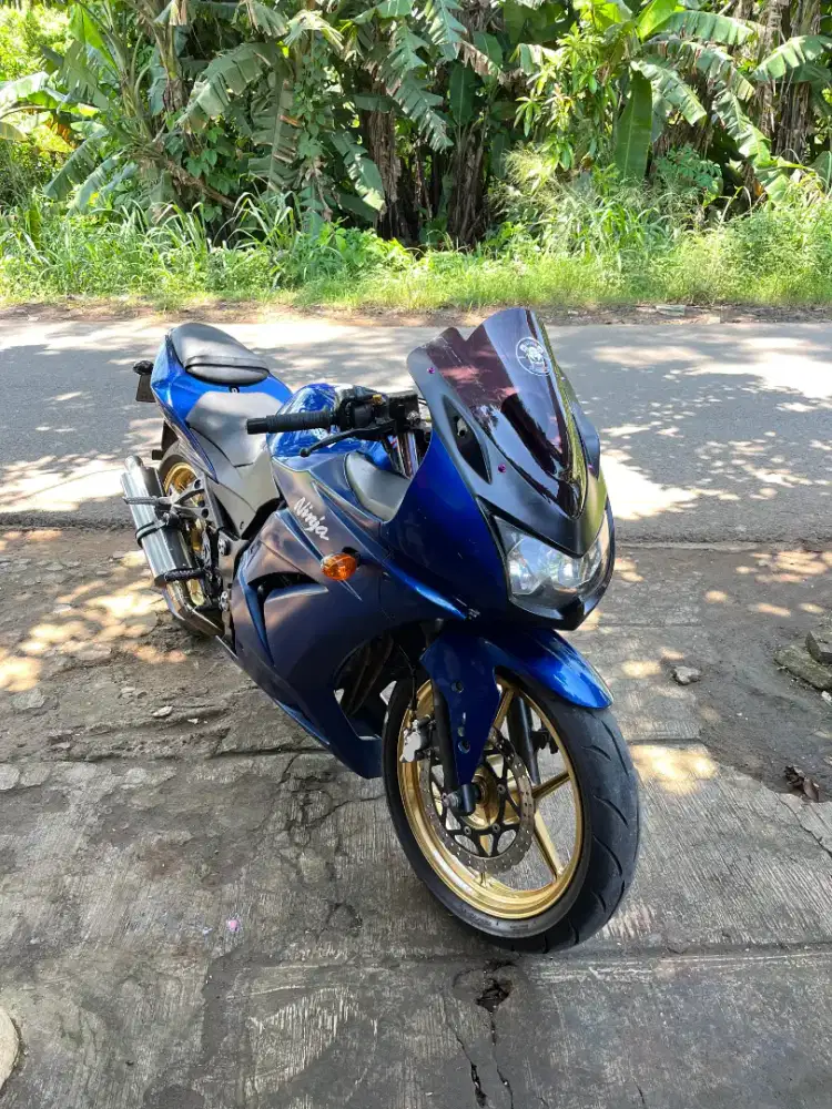 Ninja 250 cc 2 cylinder.