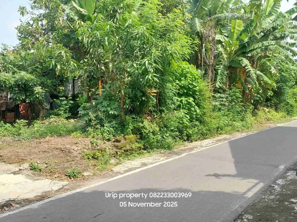 Dijual pekarangan 218m digonilan ums