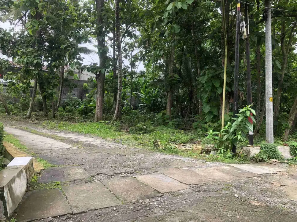 JUAL TANAH DI TERBAH WATES KULONPROGO