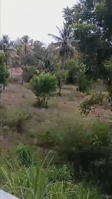 Tanah Komersial Tanjung, Lombok Utara