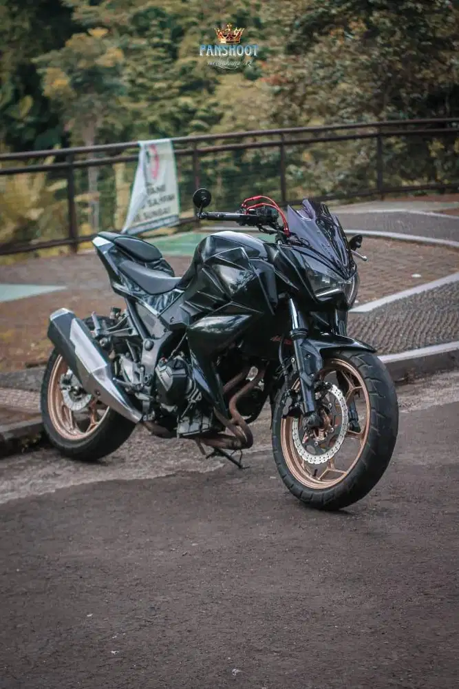 Kawasaki Ninja Z250 2013 BEKAS