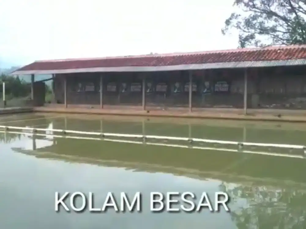 Dijual Kolam Pemancingan, di Muarasanding, Garut, Jabar