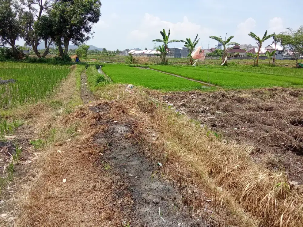 Tanah kavlingan murah banget