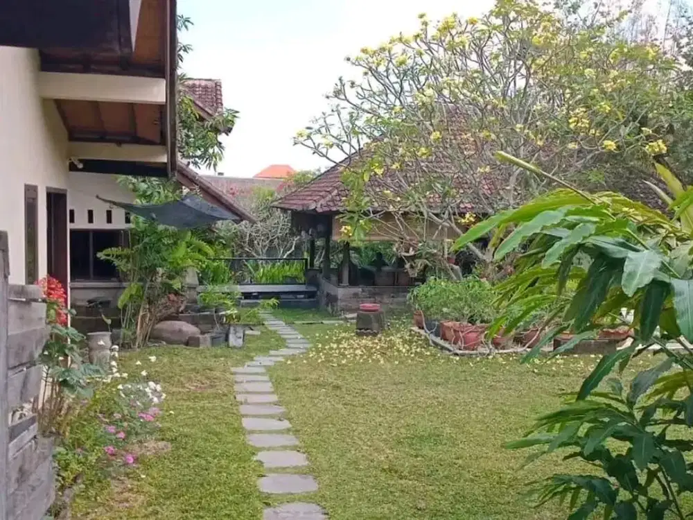 Tanah Padang Linjong Canggu Badung