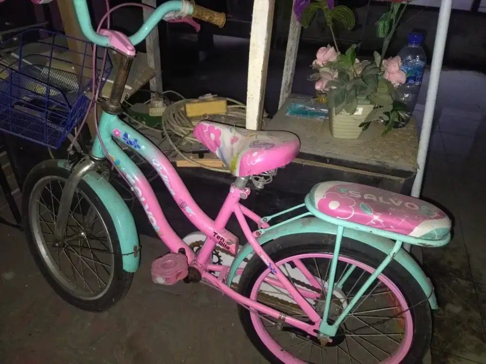 Sepeda anak bekas