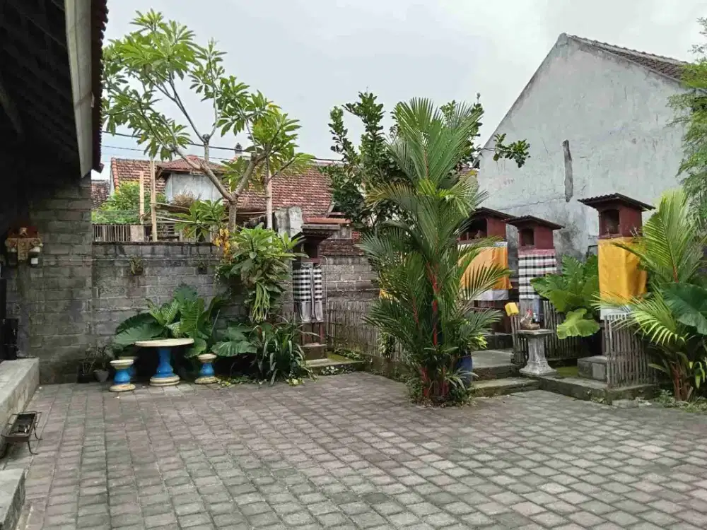 DIJUAL RUMAH LOKASI JALAN TRENGGANA PENATIH DENPASAR