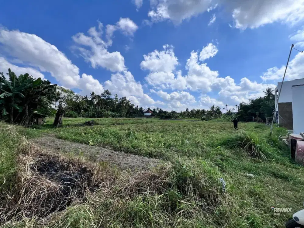 Tanah Kavling Dijual di pusat Ubud