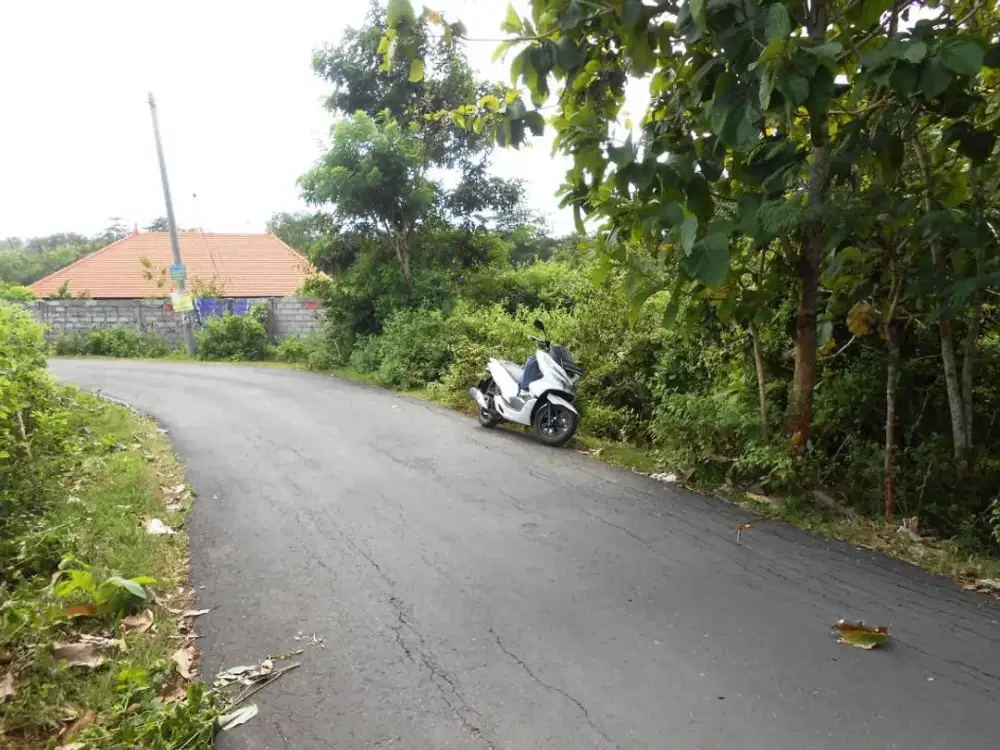 Dijual Tanah 2.300 m² di Jalan Utama Pantai Balangan