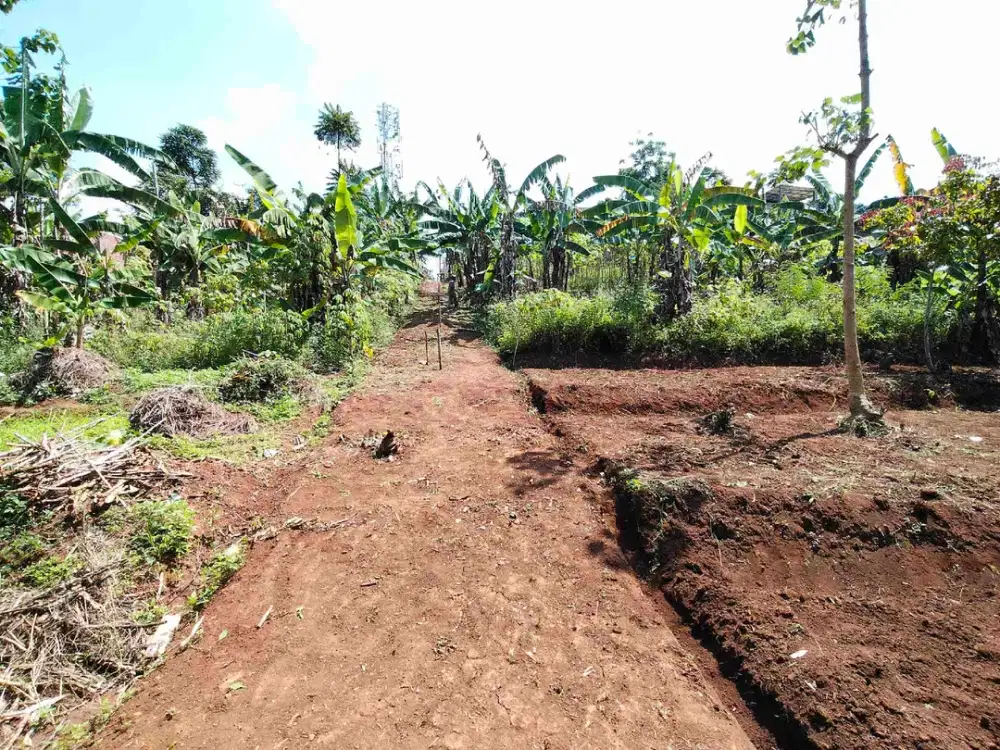jual Tanah Murah Dekat SMPN 3 manglayang Cinunuk