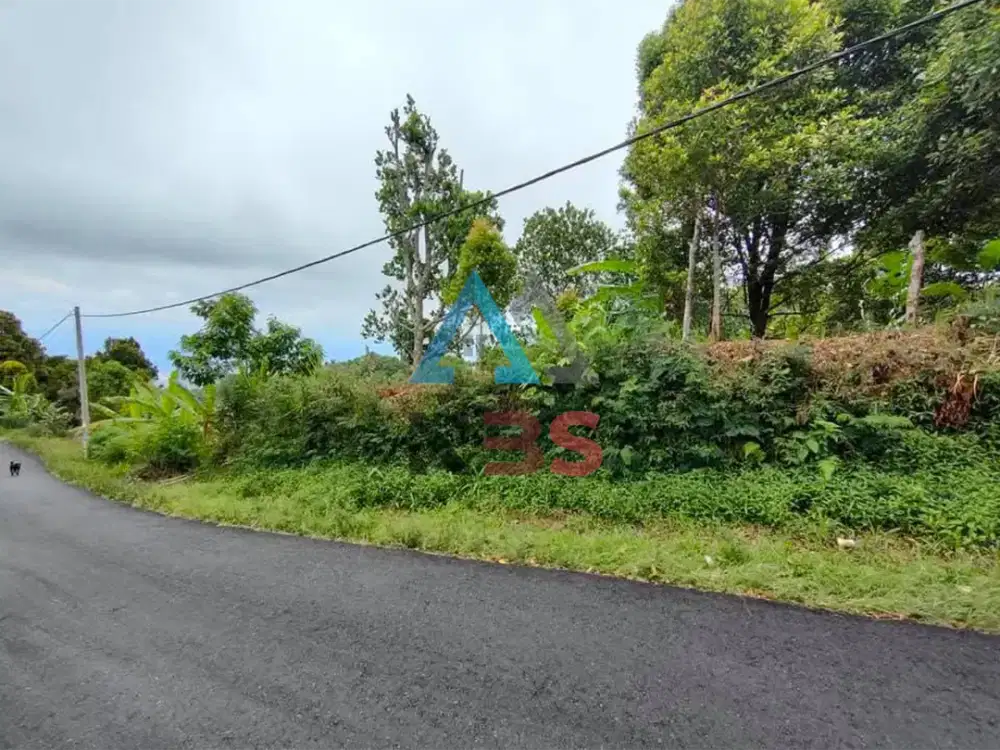 Di jual tanah kebun cengkeh dengan view laut Buleleng bali