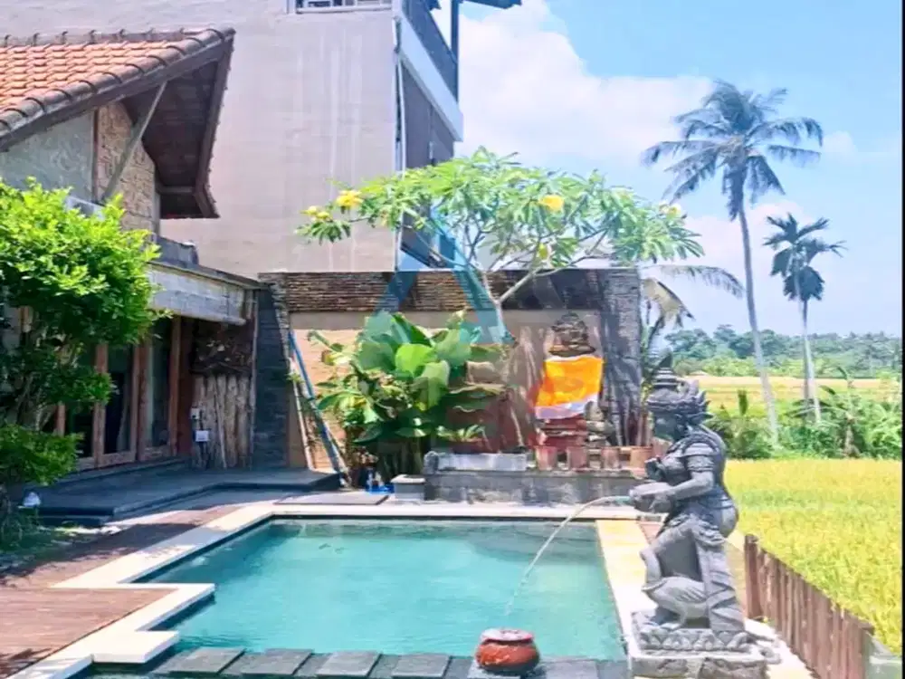 dijual Villa lokasi kengetan ubud  dengan view sawah