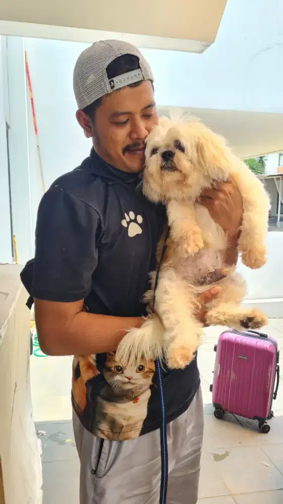 Grooming kucing anjing house call service