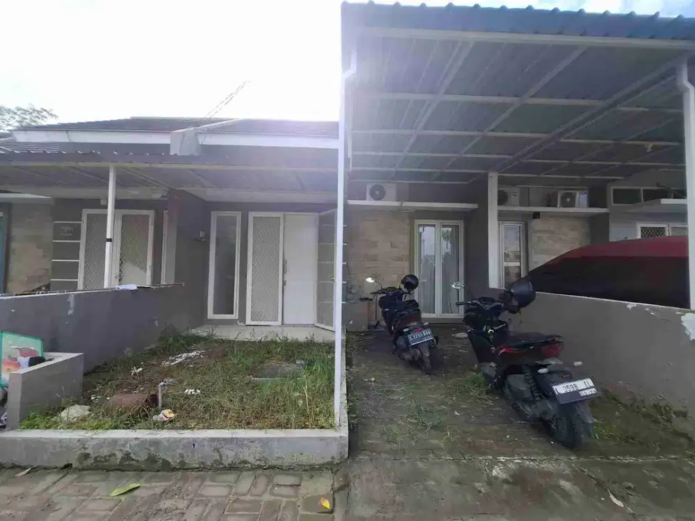 murah 250jt masih nego