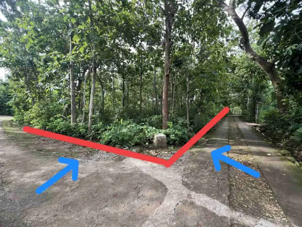 Jual tanah murah strategis di Bejiharjo utara kota wonosari Gunung Kidul lt 2000 m2 hanya 230 jt nego