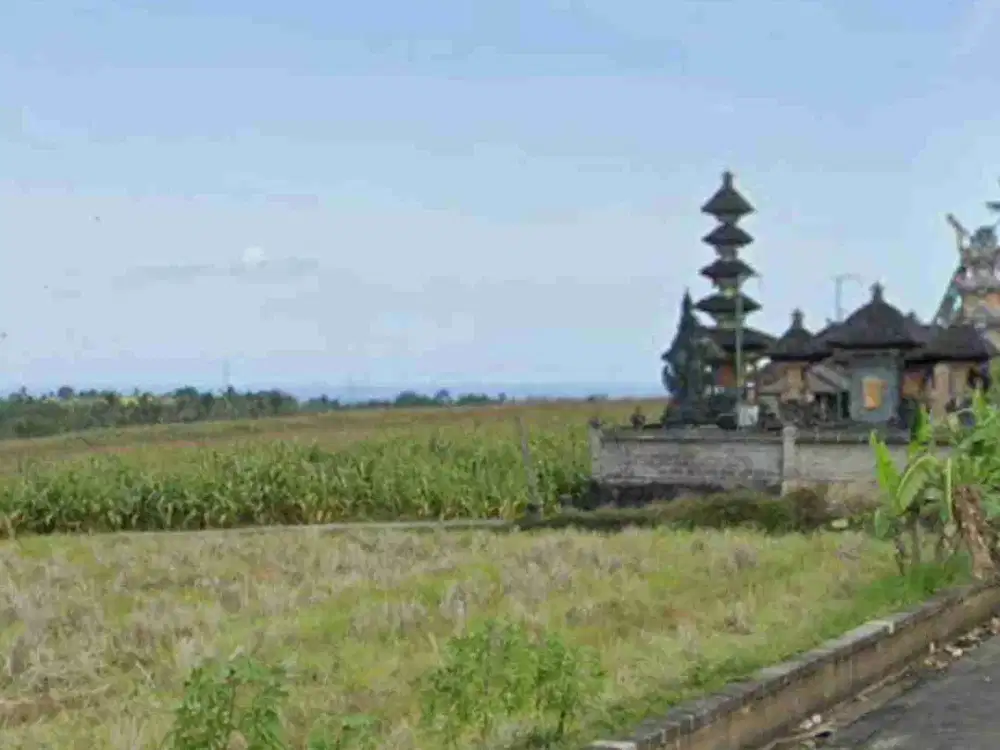 Tanah View Sawah dan Sungai dekat Pantai Kelecung Bali